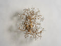 Fiore 2-Light Wall Sconce by Bling Lighting Studio