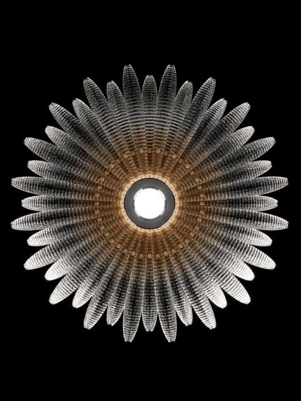 Aurelia Murano Glass Petal Ceiling Light by Bling Lighting Studio