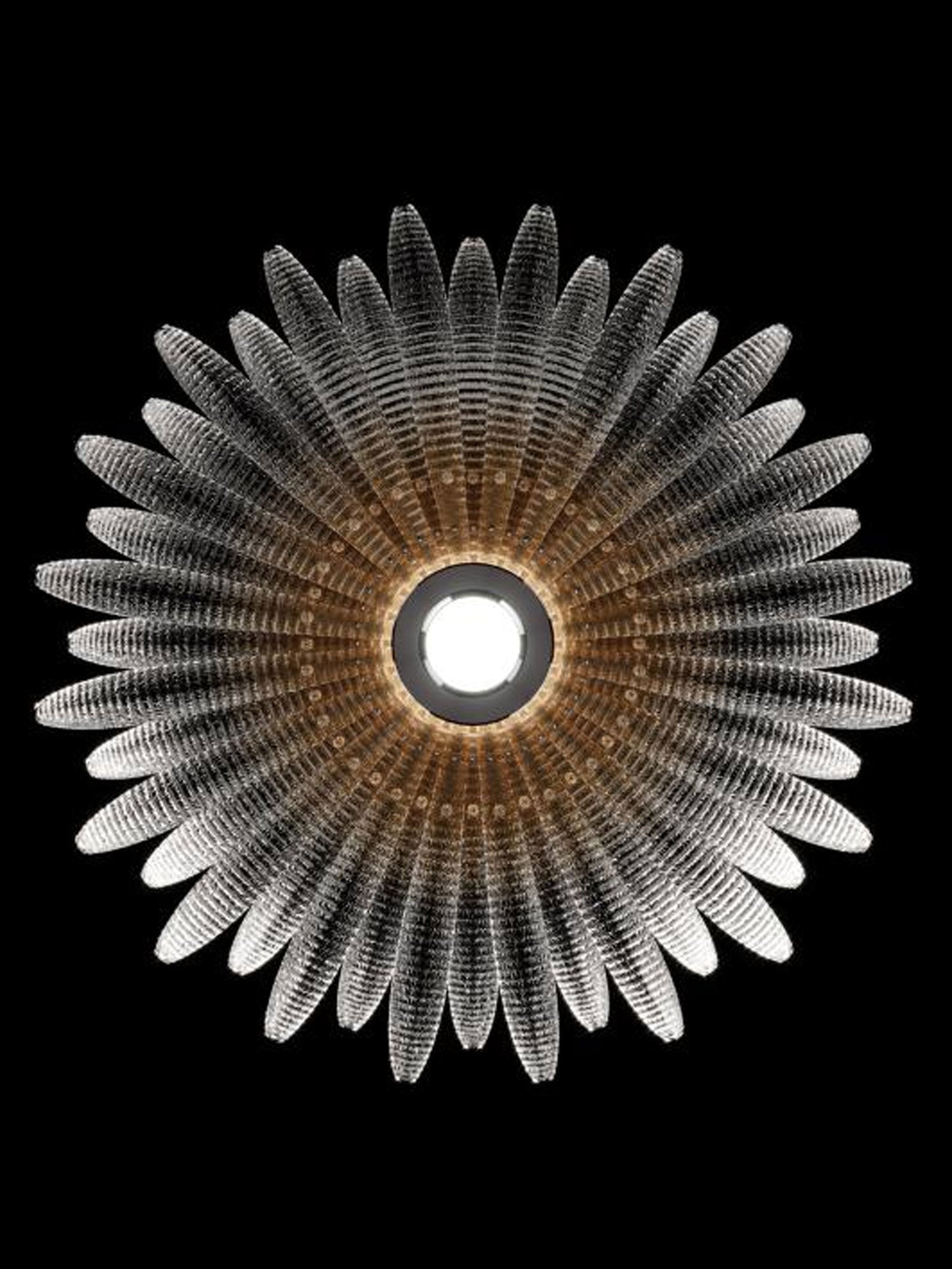 Aurelia Murano Glass Petal Ceiling Light by Bling Lighting Studio