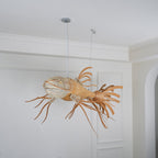 Koi Chandelier