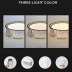 Lark Crystal Flush Mount Chandelier - Bling Lighting Studio