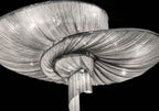 Spiral Elegance Chain Chandelier by Bling Lighting Studio