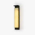 Delaney Outdoor Wall Light — full fixture profile, a tall resin wall diffuser with stainless steel hardware (view 1)
