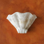 Roche Carved Alabaster Wall Sconce — W 37cm x H 21cm / W 14.5″ x H 8.2″ / White