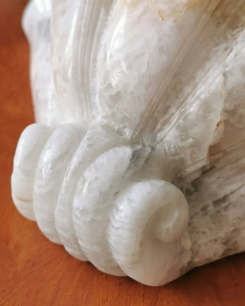 Roche Carved Alabaster Wall Sconce, product view 13